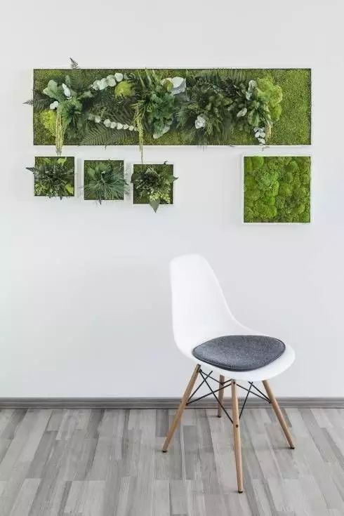 置爱|植物1.0是种在盆儿里的,植物2.0都趴在墙上的