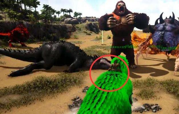 方舟生存进化灭绝如何守空投,方舟生存进化灭绝一人如何开空投