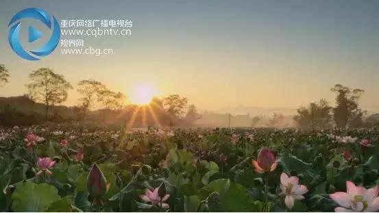 100秒看重庆夜景,100秒看重庆合川