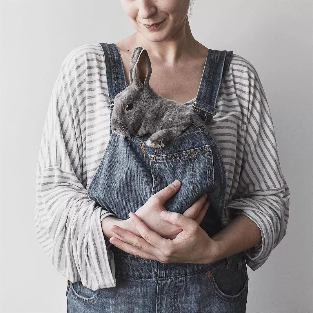 兔子脱毛如何治疗,兔子秃了一块怎么回事