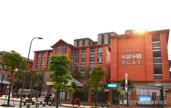 成华区2021年新增小学这么“牛”？“七系”、名校都在内