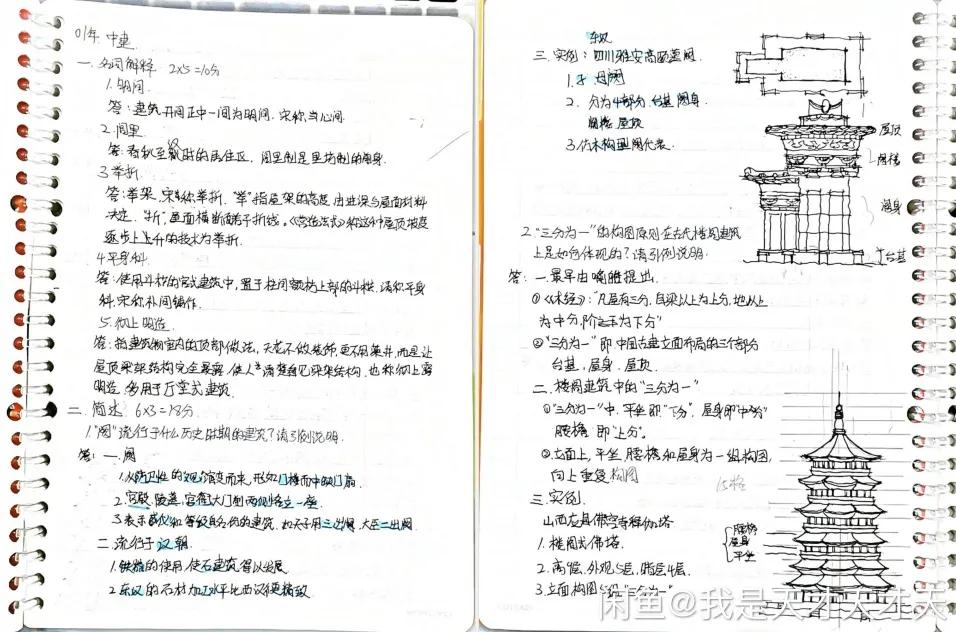 后浪闲鱼电商,后浪现在的直播