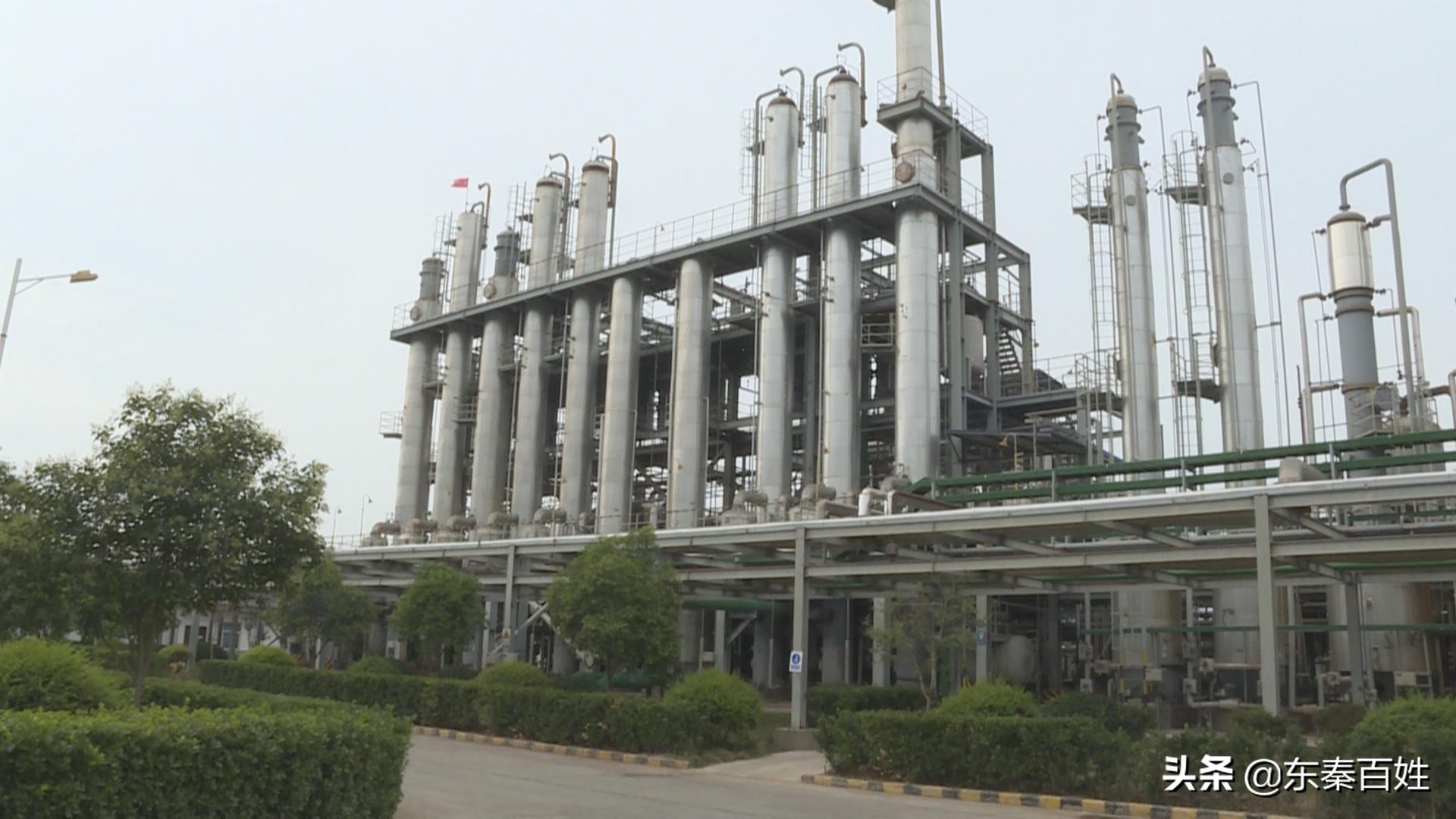 寻找渭南传奇人物|李虎林:在创新中谋发展在合作中求机遇