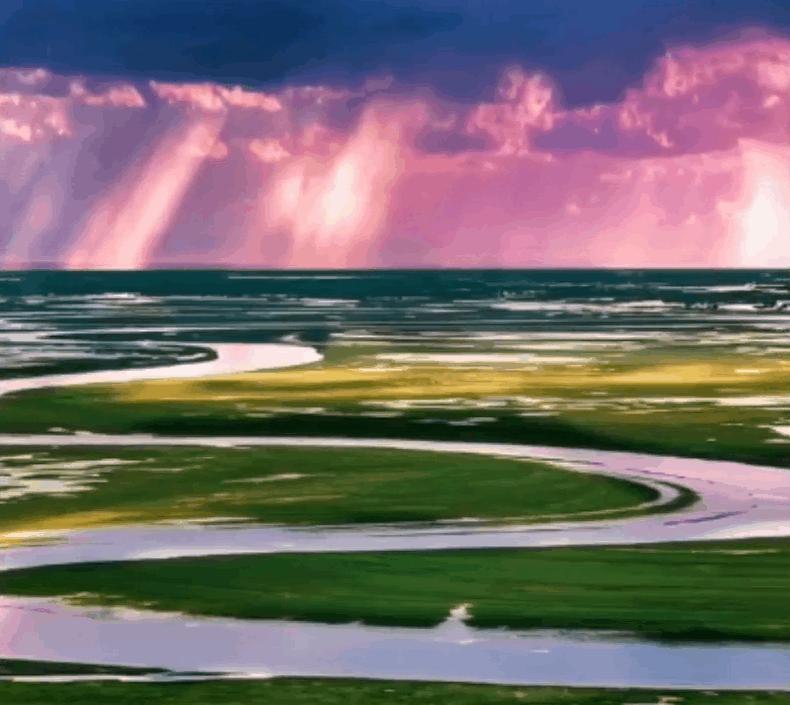 艺术家朗诵不朽的胡杨,千年不朽的胡杨