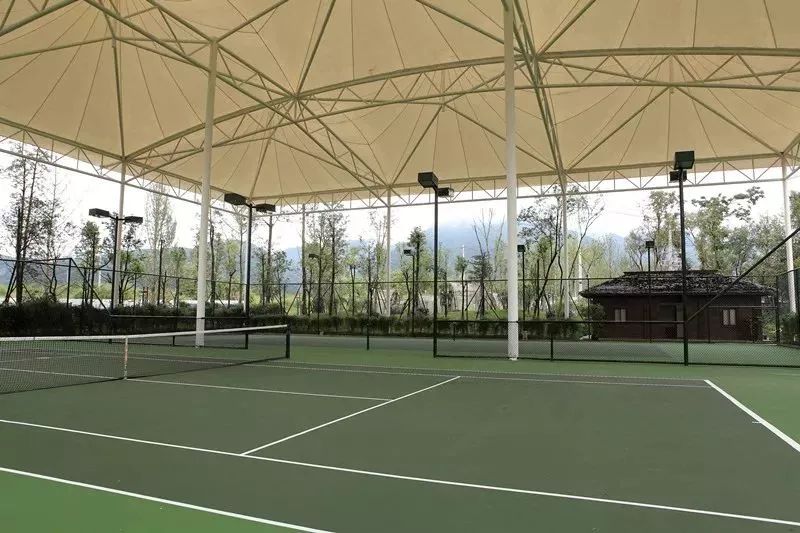 总统酒店378元一晚,总统住的酒店多少钱