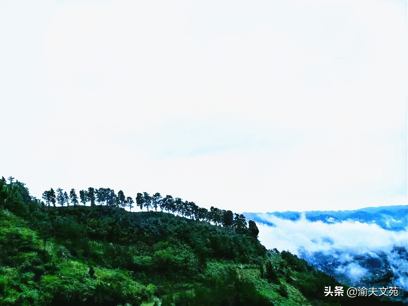 瓒婅繃閭ｉ亾灞辨鍦ㄧ嚎闃呰,涔″湡闀跨瘒灏忚杩炶浇