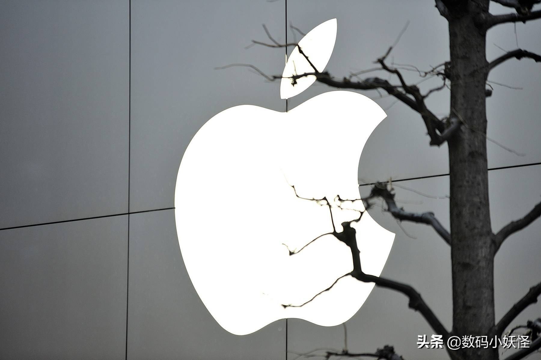 扔员工身份证的企业,扔证件的企业