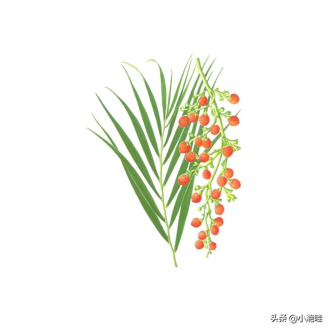 这一次丨1%为他，99%为你