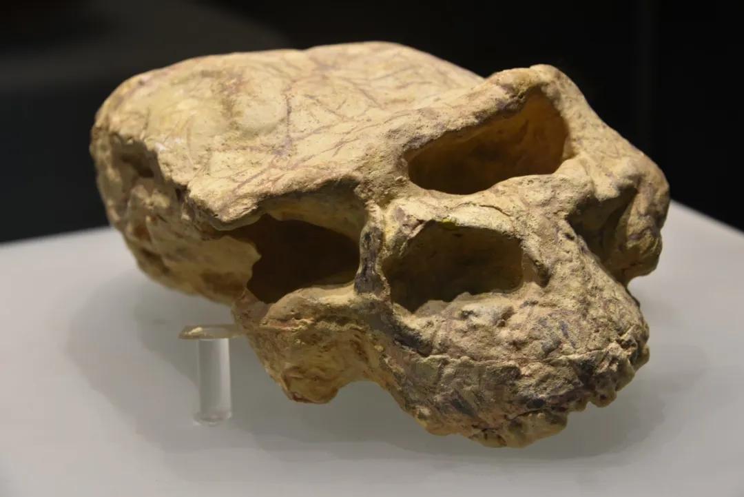 历史故事卧薪尝胆的主人公是谁,历史上卧薪尝胆的主人公是谁