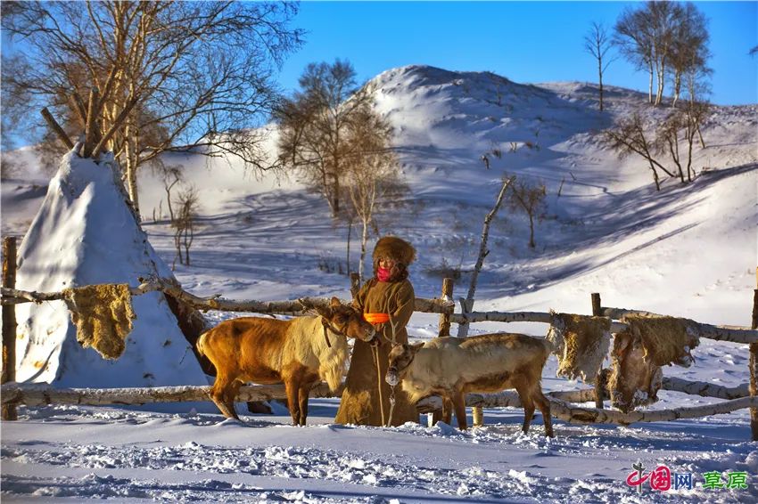 一起去看美丽的坝上草原,秋季坝上草原游记