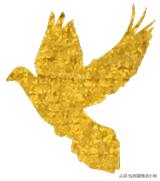 年度最热海岛游圣地大公开，塞舌尔自由行攻略