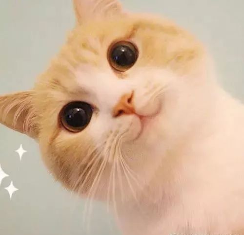 最舒适体温是多少度,最舒适的温度不冷不热