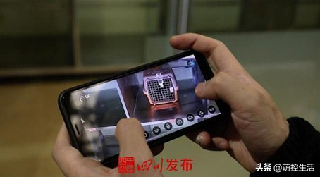 川航“宠物机票”提供单独宠物托运，接送上门服务