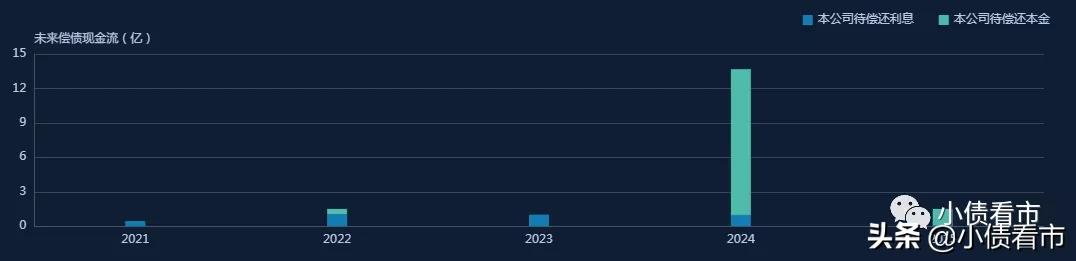 朗诗集团会破产吗,朗诗集团有没有负债