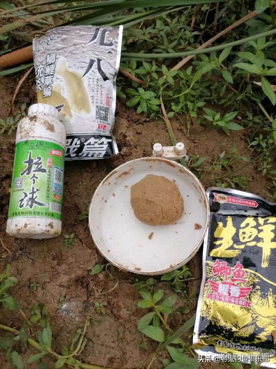 老鬼的生鲜钓饵怎么用,老鬼生鲜钓饵野钓视频