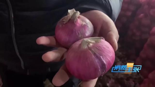 洋葱价格及出口情况,全国各地洋葱产地批发价格