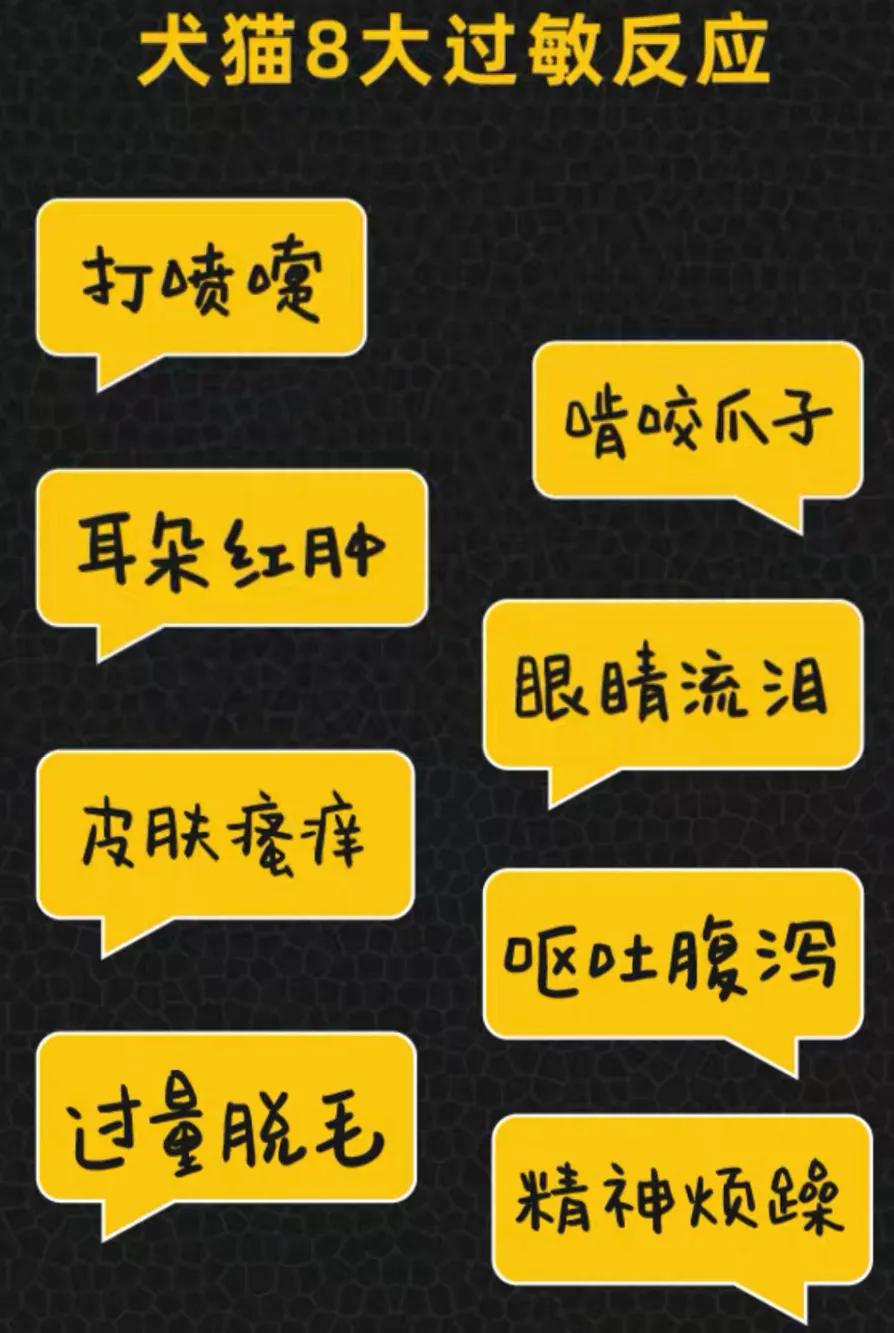 辽宁海辰生产什么猫粮,辽宁海辰能不能生产烘焙猫粮