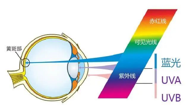 近视眼镜会不会影响颜值,眼睛近视了会影响颜值吗