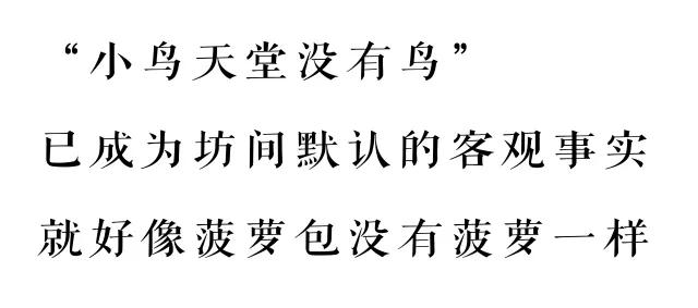 小鸟天堂真实现状,小鸟天堂后续怎样了