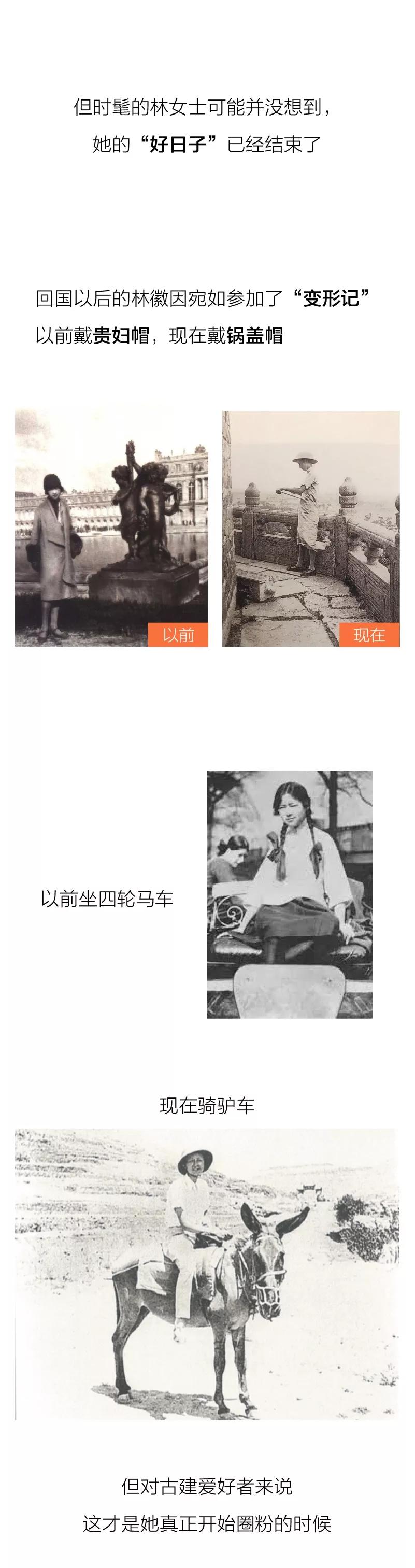 建筑系毕业的女生,建筑系的现状