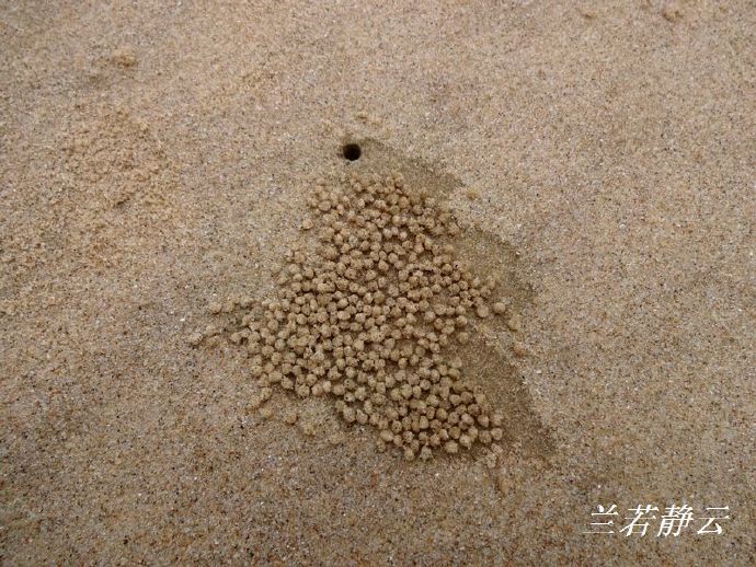 福建省漳州市六鳌镇抽象画廊,漳州六鳌抽象画廊从哪进去免费