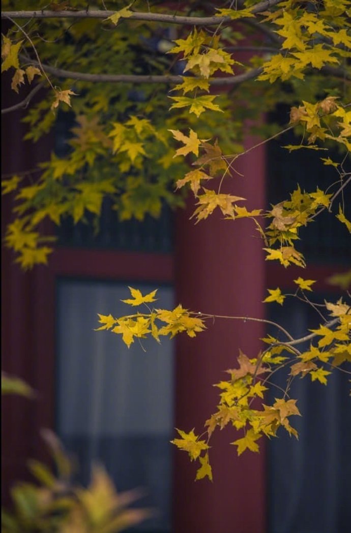 万壑千岩锁翠烟赏析,万壑千岩图片
