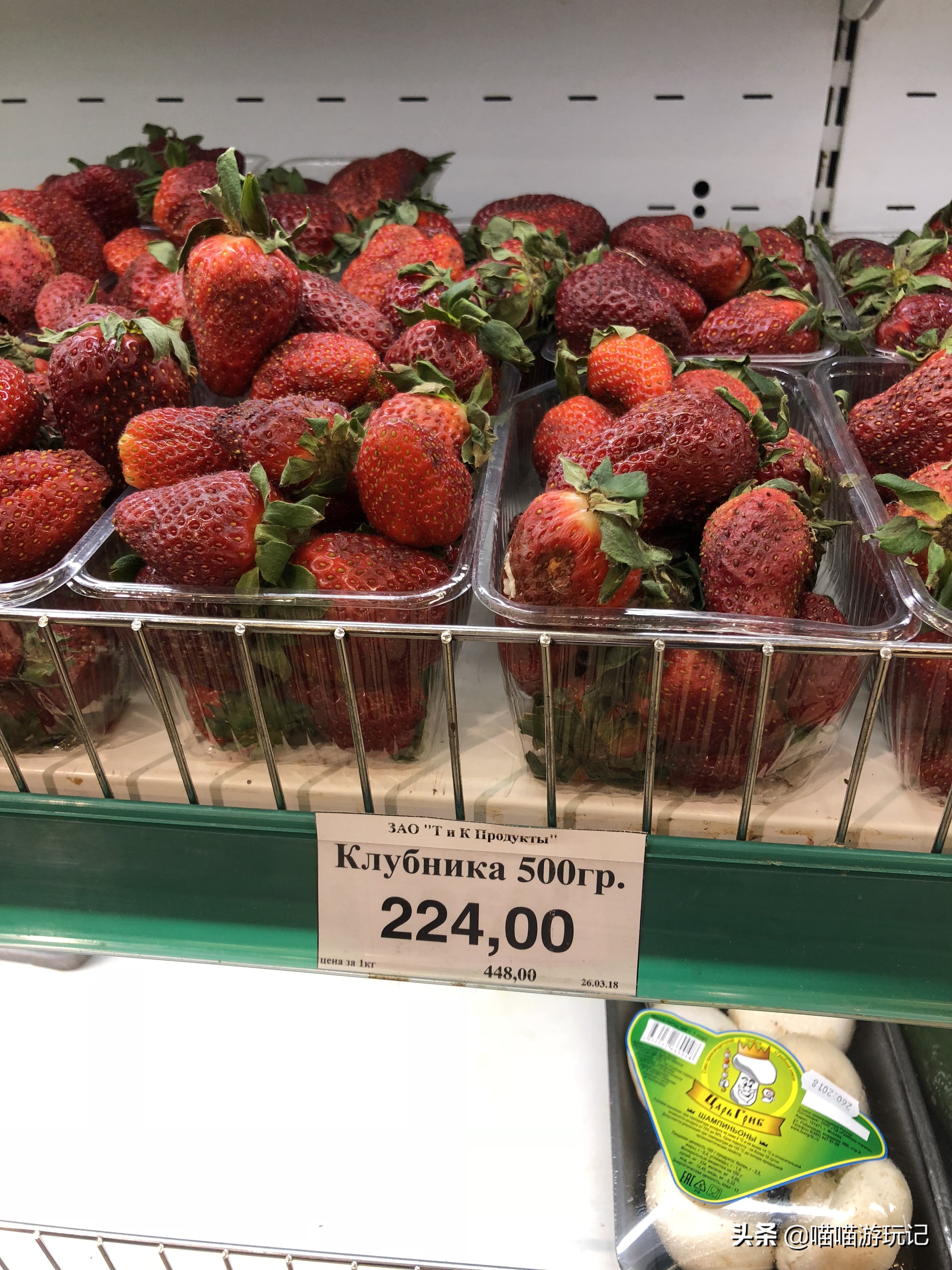 去俄罗斯旅游被坑,去俄罗斯旅游攻略自由行