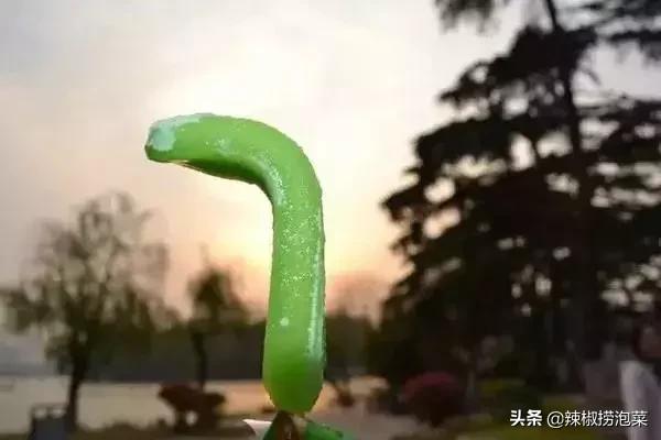 所有人几乎都吃过！用5毛唤起你的童年回忆