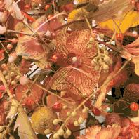 6天,教你用色彩“粉”碎所有不可能