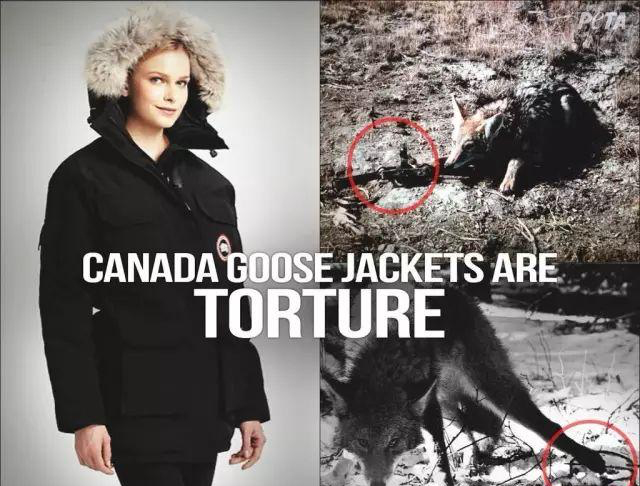 这样的时尚一般人根本读不懂 (你最需要的就是这样的时尚)