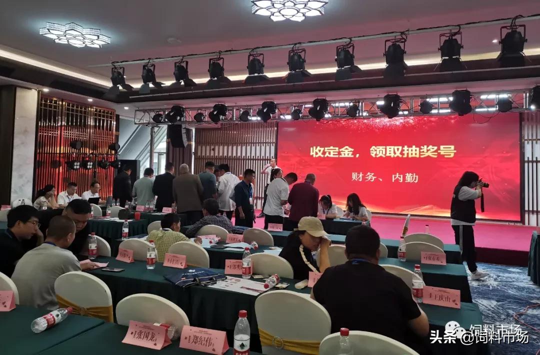 山东活力集团,长清区活力集团