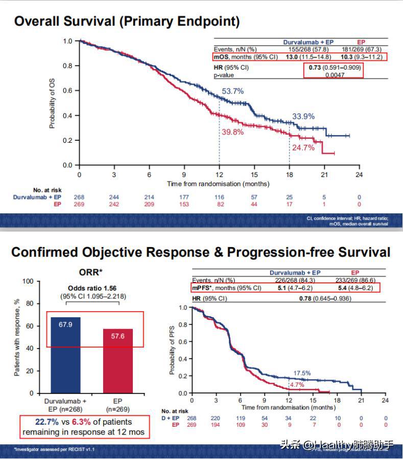 小细胞肺癌有几种药有效,小细胞肺癌用药方案