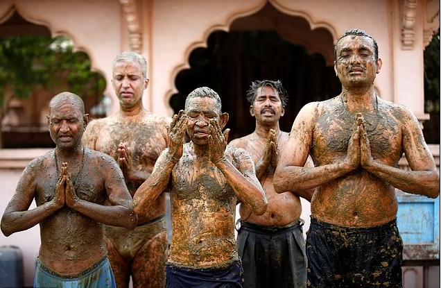 牛尿牛粪治疗新冠,印度牛粪牛尿治疗新冠肺炎