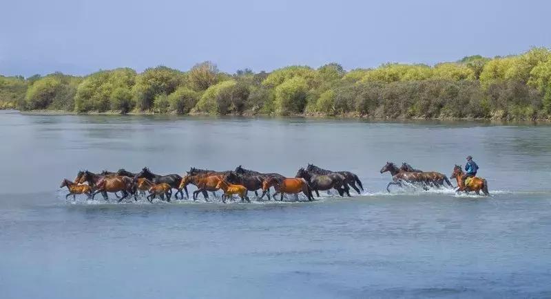 这就是昭苏,万物复苏的地方