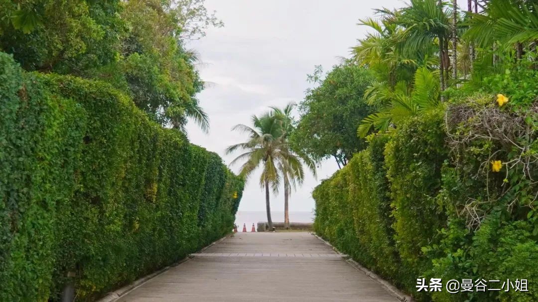 四川妹子「隐居」泰国华欣,入住6000万海滨别墅,租金却超便宜