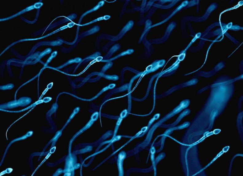 新冠病毒对生殖器官有害吗,新冠病毒疫苗对男性影响大吗