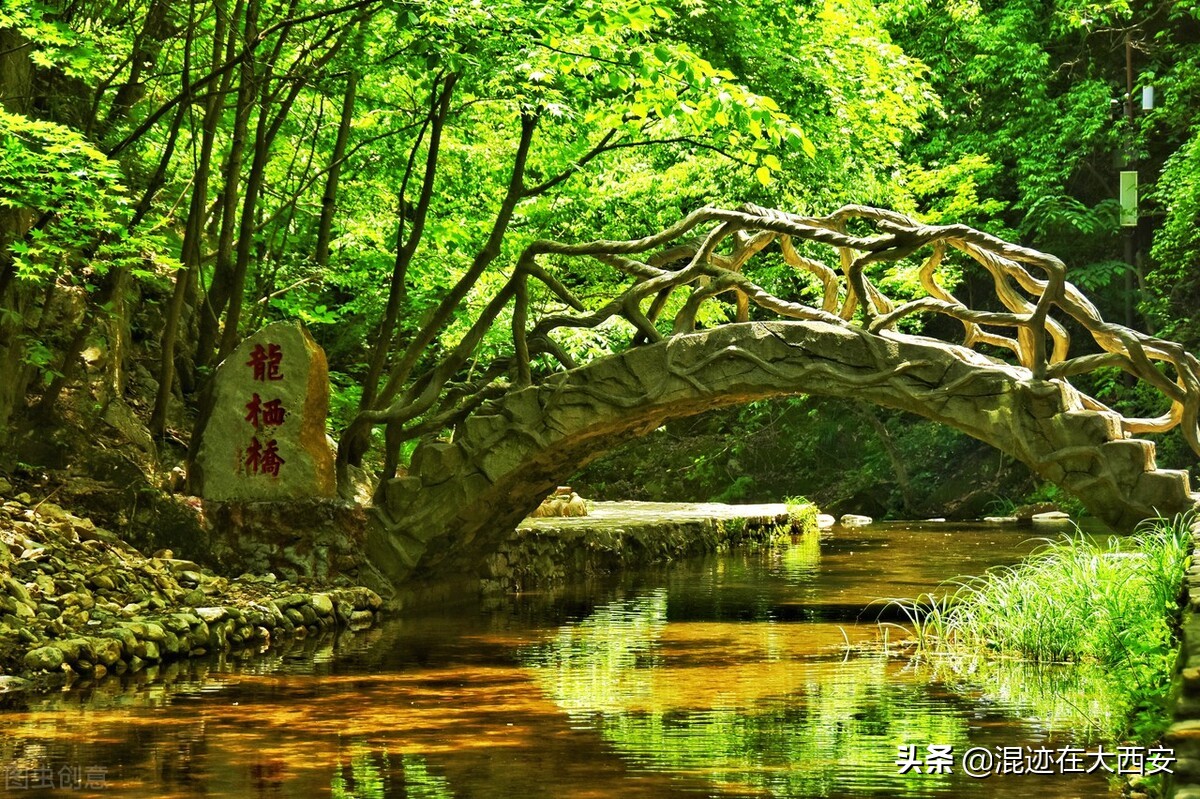 金丝峡景区导游词,金丝峡导游讲解词顺序