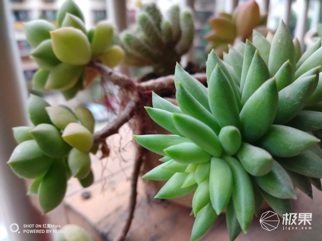 努比亚红魔mars电竞手机,努比亚红魔mars玩王者荣耀怎么样