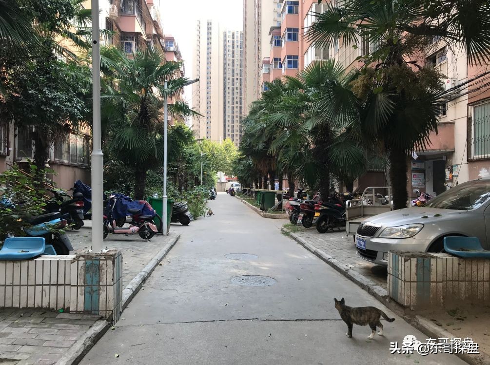 被炒上天的学区房,省实验学区房值得吗