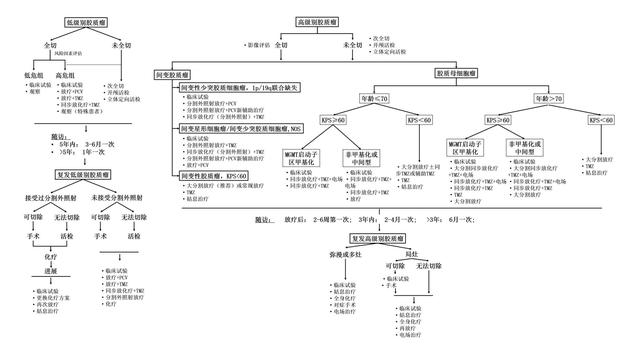 脑胶质瘤诊疗规范2018年,脑胶质瘤诊疗规范2018年版