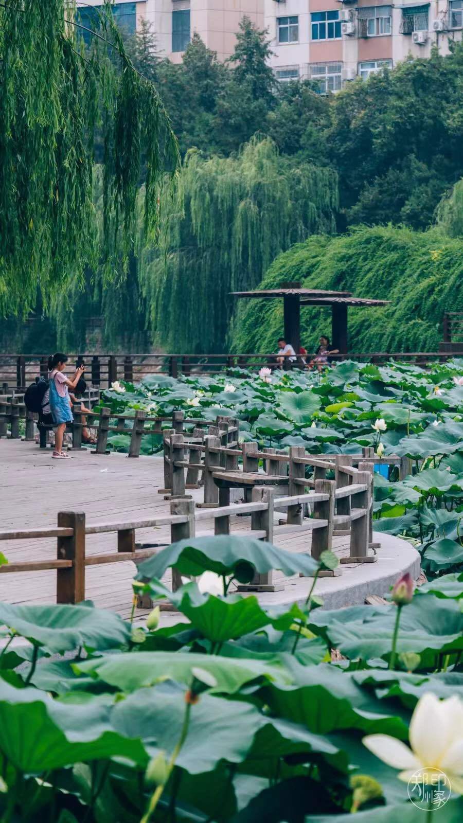 郑州有没有哪些免费的运动场馆,郑州免费开放体育场