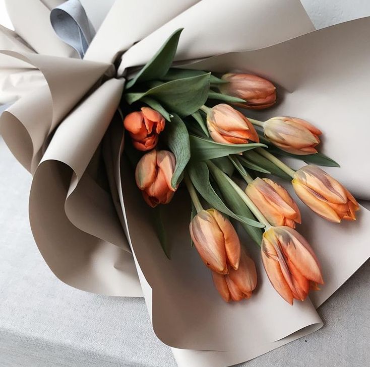 閮侀噾棣欑鐞冪殑鍏绘姢鏂规硶,姘村煿閮侀噾棣欏彂鑺藉悗鍏绘姢