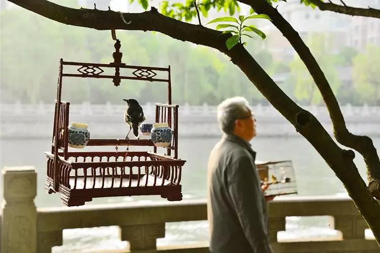 大暑的五种美,小暑的七种食物