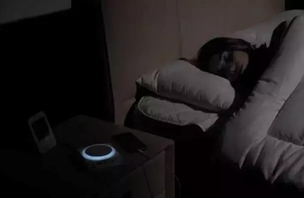 世界上唯一一款专用来“滚床单”的机器人