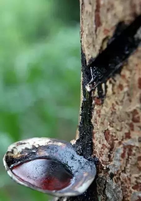 木蜡油和桐油漆有什么区别,油漆水性漆木蜡油出来效果对比