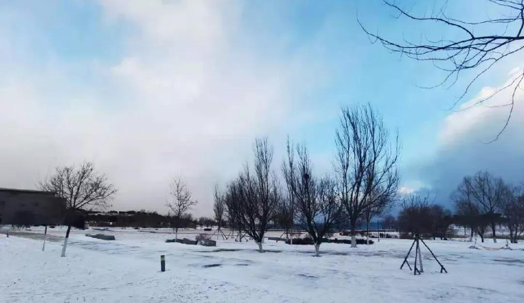 辽宁省高校（三十一）大连医科大学