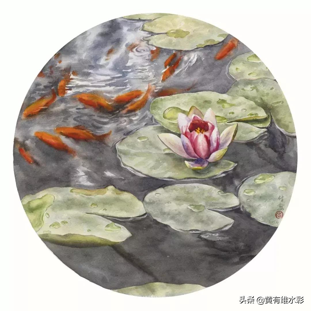 小清新水彩画玫瑰花,水彩画雨中玫瑰