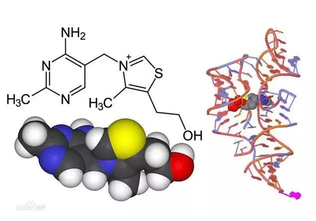 人类至今向外星人传递了多少信息?都是什么内容?