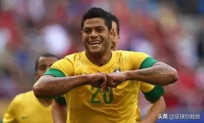 绰号和动物有关的巴西球星,巴西足球名将绰号小鸟