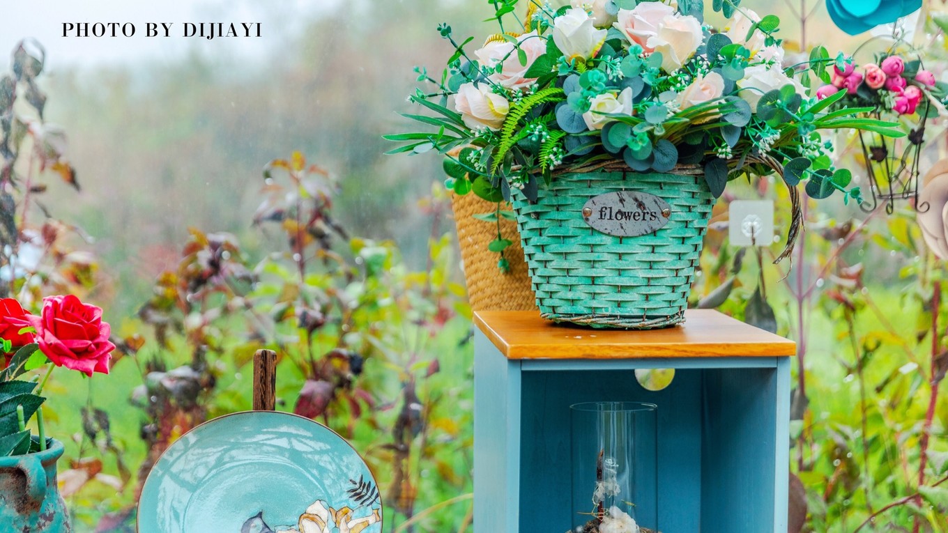 金坛花谷奇缘有什么地方值得打卡,金坛花谷奇缘赏花攻略